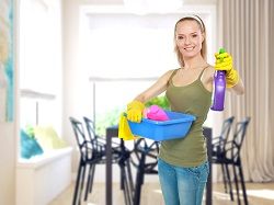 home cleaners w3